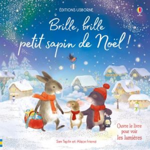 Livre – Brille Brille petit sapin de Noël !