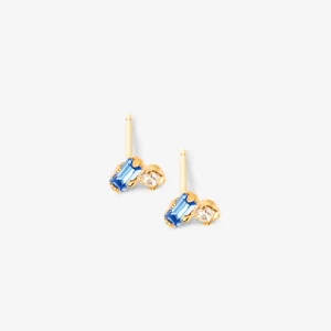 Puces – ADAM – Bleues