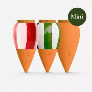 Trio Mini Ollas – Les Rayés